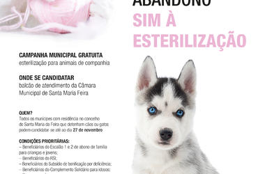 Campanha de Esterilização Gratuita de Cães e Gatos “NÃO AO ABANDONO, SIM À ESTERILIZAÇÃO”